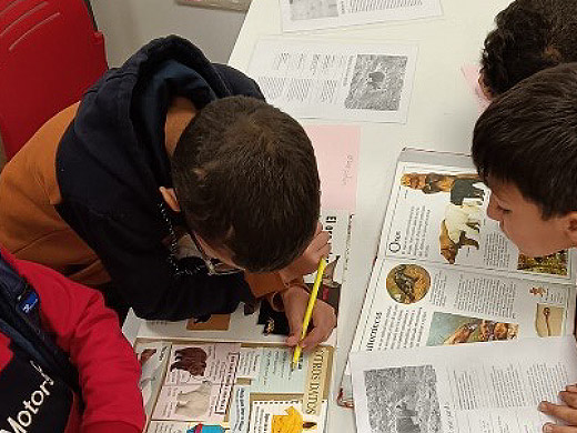 Conversaciones con el autor en escuelas de España.