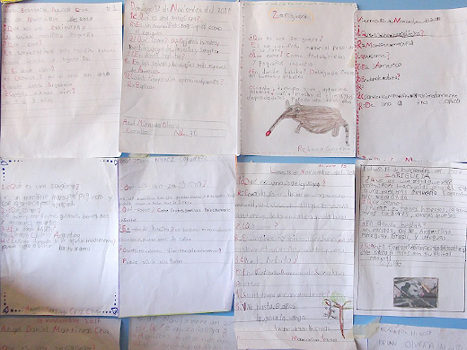 Prácticas de escritura en una escuela de México.